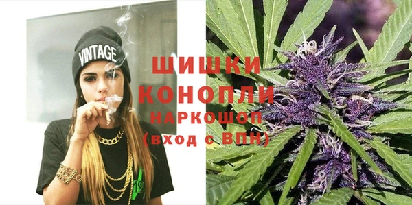 гидропоника Магас