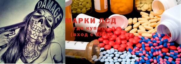 гидропоника Магас