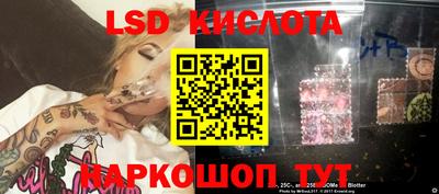 прущие грибы Партизанск