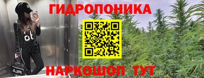 прущие грибы Партизанск
