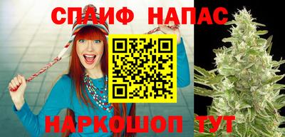 гашик Пенза