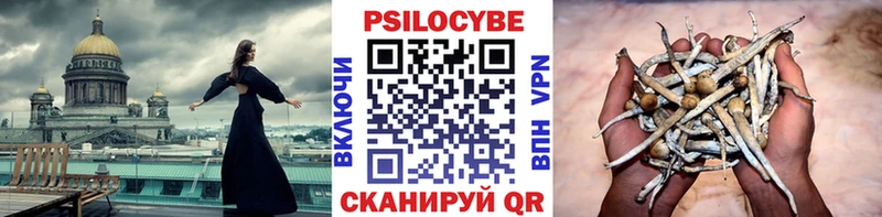 Псилоцибиновые грибы Magic Shrooms Находка