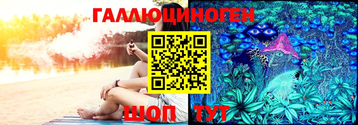 Находка  Псилоцибиновые грибы прущие грибы  Вход с VPN 